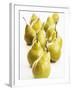 Several Pears Standing One Behind the Other-Dieter Heinemann-Framed Photographic Print