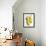 Several Pears Standing One Behind the Other-Dieter Heinemann-Framed Photographic Print displayed on a wall