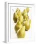 Several Pears Standing One Behind the Other-Dieter Heinemann-Framed Photographic Print