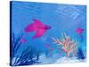 Several Red Betta Fish Swimming Underwater-null-Stretched Canvas