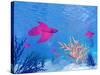 Several Red Betta Fish Swimming Underwater-null-Stretched Canvas