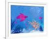 Several Red Betta Fish Swimming Underwater-null-Framed Art Print