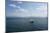 Several Sailboats Floating in the Ocean with Mountains and Clouds in the Background-Wirestock-Mounted Photographic Print