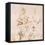 Several Studies of a Madonna and Child-Raphael-Framed Stretched Canvas