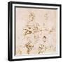 Several Studies of a Madonna and Child-Raphael-Framed Giclee Print