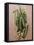 Several Sugar Snap Peas-Eising Studio - Food Photo and Video-Framed Stretched Canvas