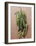 Several Sugar Snap Peas-Eising Studio - Food Photo and Video-Framed Photographic Print