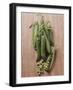 Several Sugar Snap Peas-Eising Studio - Food Photo and Video-Framed Photographic Print