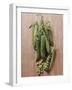 Several Sugar Snap Peas-Eising Studio - Food Photo and Video-Framed Photographic Print