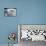 Several Tiny Satellites Backdropped by a Blue and White Part of Earth-null-Photographic Print displayed on a wall