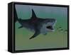 Several Tuna Fish Try To Escape from a Huge Megalodon Shark-Stocktrek Images-Framed Stretched Canvas