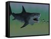 Several Tuna Fish Try To Escape from a Huge Megalodon Shark-Stocktrek Images-Framed Stretched Canvas