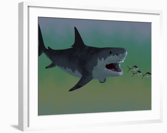 Several Tuna Fish Try To Escape from a Huge Megalodon Shark-Stocktrek Images-Framed Photographic Print