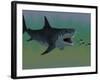 Several Tuna Fish Try To Escape from a Huge Megalodon Shark-Stocktrek Images-Framed Photographic Print