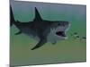 Several Tuna Fish Try To Escape from a Huge Megalodon Shark-Stocktrek Images-Mounted Photographic Print