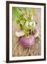 Several Turnips-Foodcollection-Framed Photographic Print