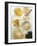 Several Types of Rice-Eising Studio Food Photo and Video-Framed Photographic Print