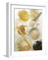 Several Types of Rice-Eising Studio Food Photo and Video-Framed Photographic Print