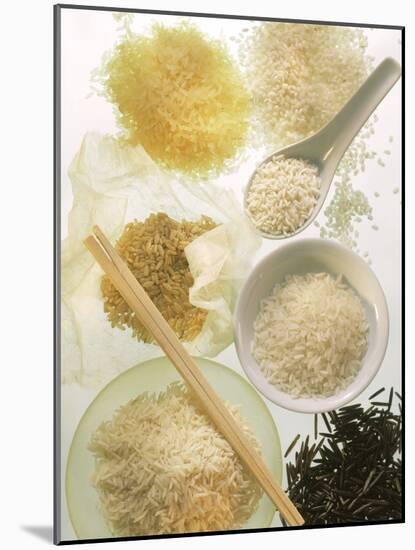 Several Types of Rice-Eising Studio Food Photo and Video-Mounted Photographic Print