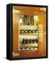 Several Wine Bottles in Wood-Panelled Drinks Cabinet-Peter Medilek-Framed Stretched Canvas