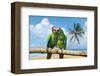 Severe Macaw Parrots on Beach-null-Framed Art Print