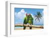 Severe Macaw Parrots on Beach-null-Framed Art Print