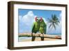 Severe Macaw Parrots on Beach-null-Framed Art Print