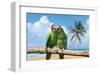 Severe Macaw Parrots on Beach-null-Framed Art Print