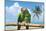 Severe Macaw Parrots on Beach-null-Mounted Art Print