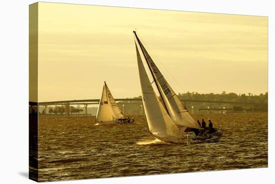 Severn River Sailing II-Alan Hausenflock-Stretched Canvas