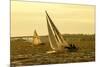 Severn River Sailing II-Alan Hausenflock-Mounted Photographic Print