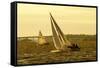 Severn River Sailing II-Alan Hausenflock-Framed Stretched Canvas