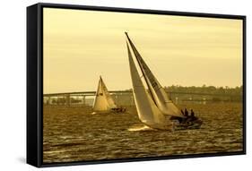 Severn River Sailing II-Alan Hausenflock-Framed Stretched Canvas