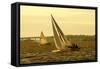 Severn River Sailing II-Alan Hausenflock-Framed Stretched Canvas