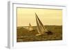 Severn River Sailing II-Alan Hausenflock-Framed Photographic Print