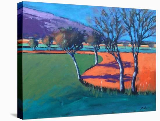 Severn Stoke-Paul Powis-Stretched Canvas