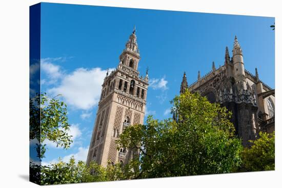 Sevilla Cathedral and Giralda, Seville, Andalucia, Spain-Carlo Morucchio-Stretched Canvas