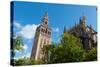 Sevilla Cathedral and Giralda, Seville, Andalucia, Spain-Carlo Morucchio-Stretched Canvas