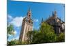 Sevilla Cathedral and Giralda, Seville, Andalucia, Spain-Carlo Morucchio-Mounted Photographic Print
