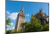 Sevilla Cathedral and Giralda, Seville, Andalucia, Spain-Carlo Morucchio-Mounted Photographic Print