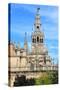 Sevilla Cathedral-Tupungato-Stretched Canvas