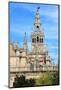 Sevilla Cathedral-Tupungato-Mounted Photographic Print