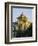 Seville, Andalucia, Spain-Sylvain Grandadam-Framed Photographic Print