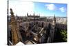 Seville Cathedral Seen from Giralda Bell Tower, Seville, Andalucia, Spain-Carlo Morucchio-Stretched Canvas