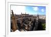 Seville Cathedral Seen from Giralda Bell Tower, Seville, Andalucia, Spain-Carlo Morucchio-Framed Photographic Print