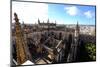 Seville Cathedral Seen from Giralda Bell Tower, Seville, Andalucia, Spain-Carlo Morucchio-Mounted Photographic Print