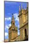 Seville Cathedral, Seville, UNESCO World Heritage Site, Andalucia, Spain, Europe-Neil Farrin-Mounted Photographic Print