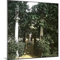 Seville (Spain), the Alcazar, Maria De Padilla's Flowerbed-Leon, Levy et Fils-Mounted Photographic Print