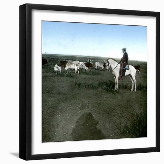 Seville (Spain), the Matador Carra-Ancha-Leon, Levy et Fils-Framed Photographic Print