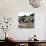 Seville (Spain), Vendors Selling Fried Foods at the Fair-Leon, Levy et Fils-Photographic Print displayed on a wall